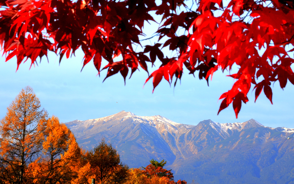 開田高原は紅葉真っ盛り