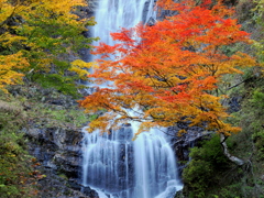 開田高原（唐沢の滝）➀