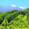 新緑と将棊頭山