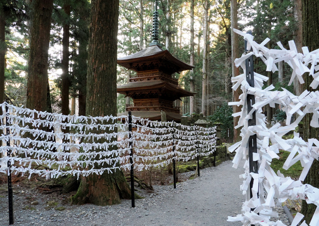 おみくじに願いを込めて②