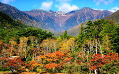 紅葉始まる木曽駒ケ岳山麓