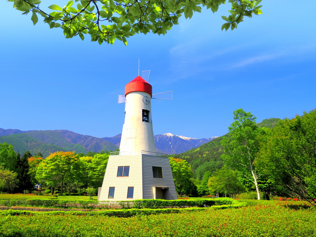 新緑の鳩吹き公園