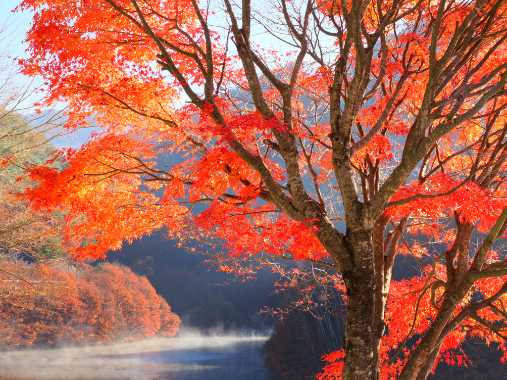 湖畔を彩る最後の紅葉