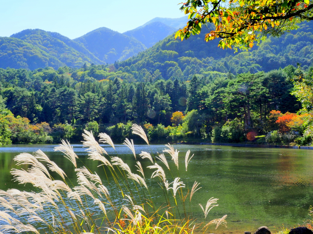 秋の装いの大沼湖