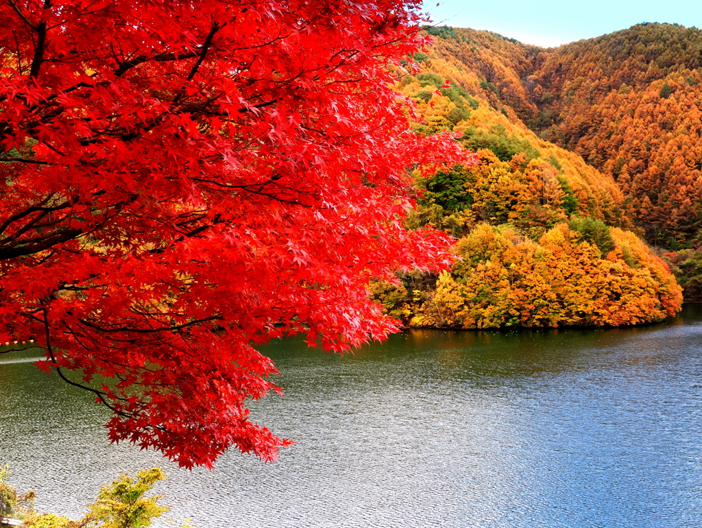 紅葉真っ盛りのもみじ湖