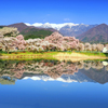 絶景を映す町谷堤