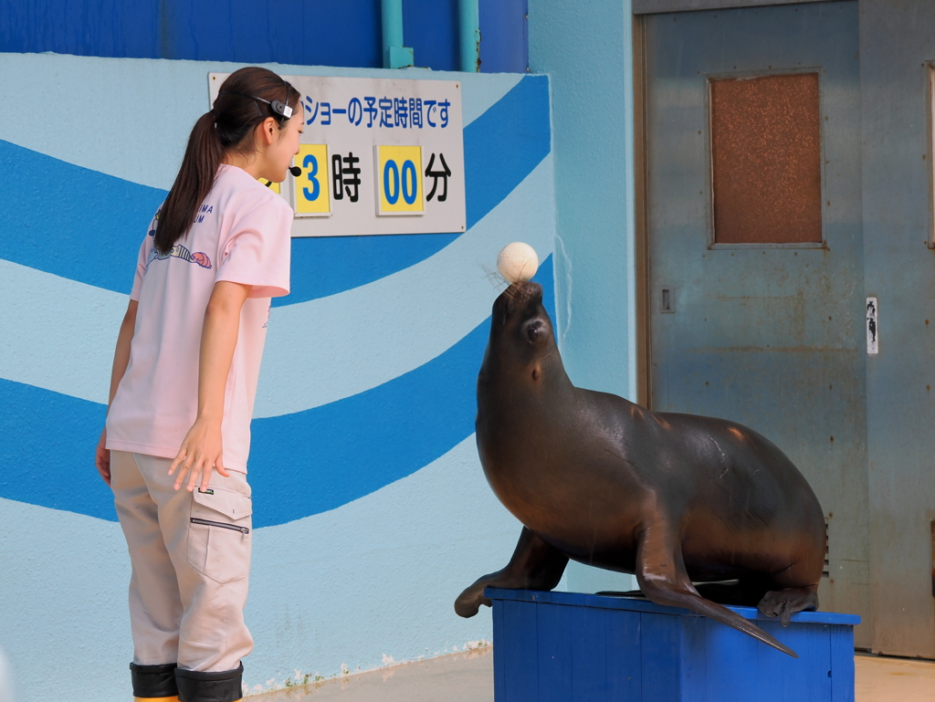 大人気の「ラブ」ちゃん１
