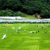 少年サッカー大会１