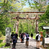 新緑の戸隠奥社参道１