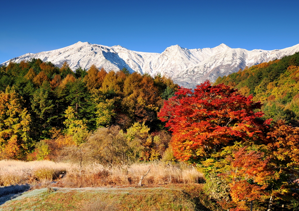 黄葉始まる開田高原