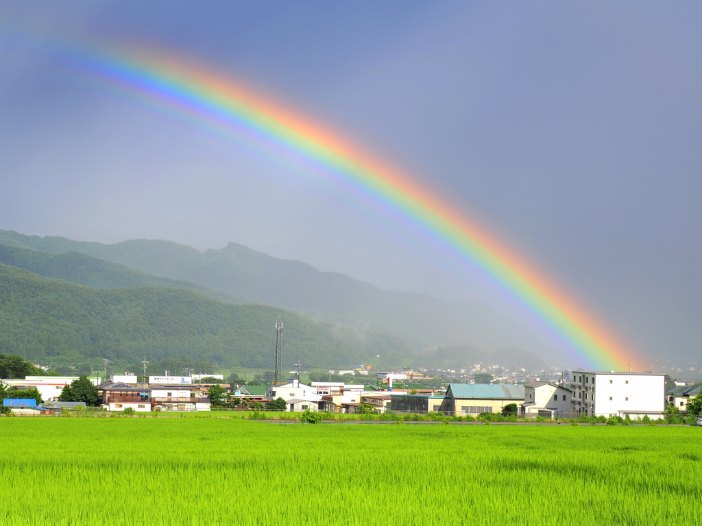 雨上がりのご褒美１