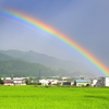 雨上がりのご褒美１