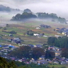 朝霧に浮かぶ里山の民家