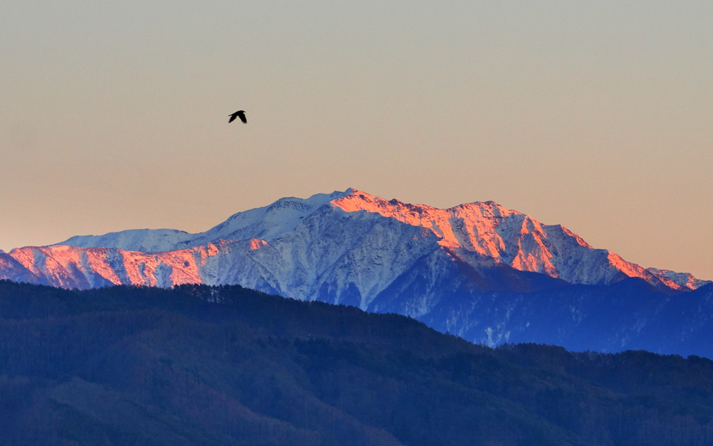 夕焼け小焼けで～からすといしょにかえりましょ