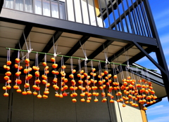 我が家の秋の風物詩「柿すだれ」 我が家の秋の風物詩「柿すだれ」