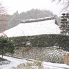 初雪②