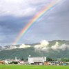 雨上がり➀