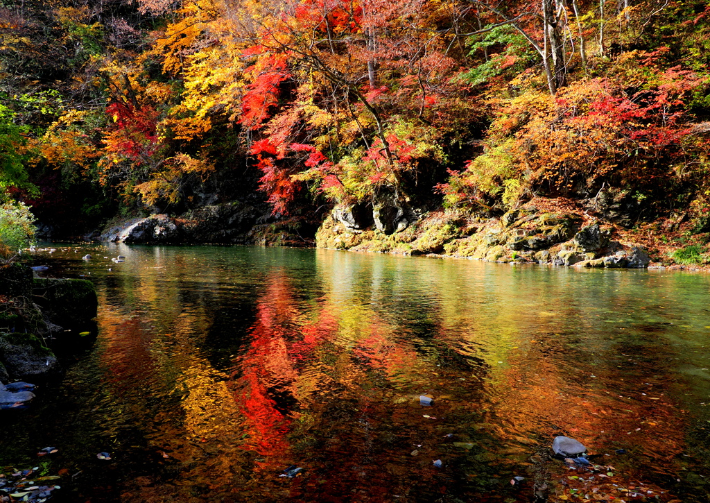 紅葉映す巴淵（ともえぶち）