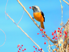 明けましておめでとうございます。