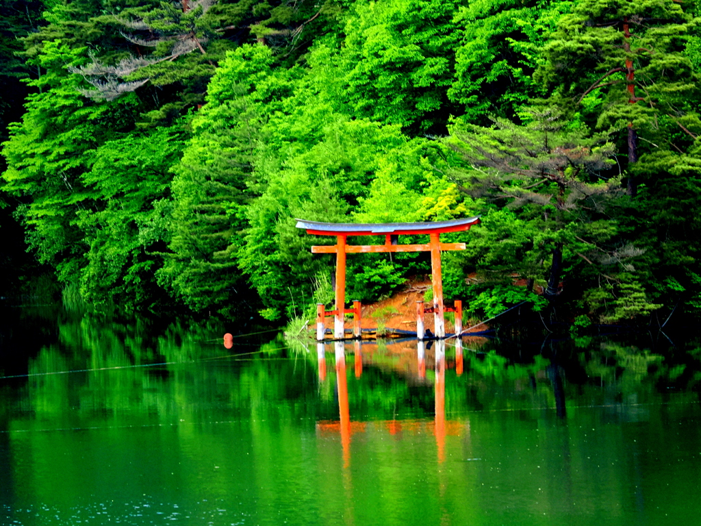湖上に立つ赤い鳥居