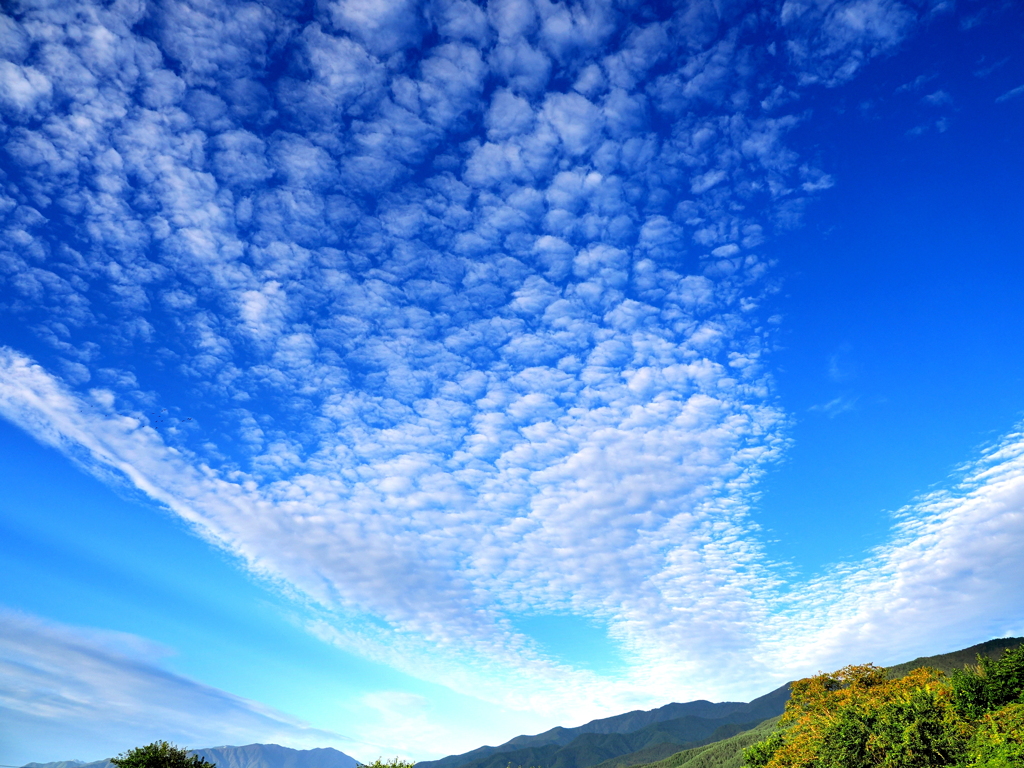 青空に浮かぶひつじ雲（10月7日）