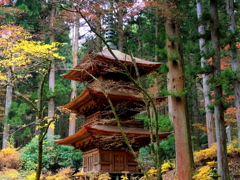 晩秋の光前寺三重塔