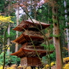 晩秋の光前寺三重塔