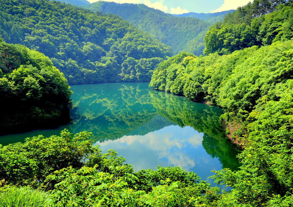 水と新緑のもみじ湖