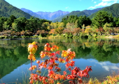 紅葉始まる大沼湖