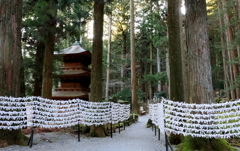 おみくじに願いを込めて➀