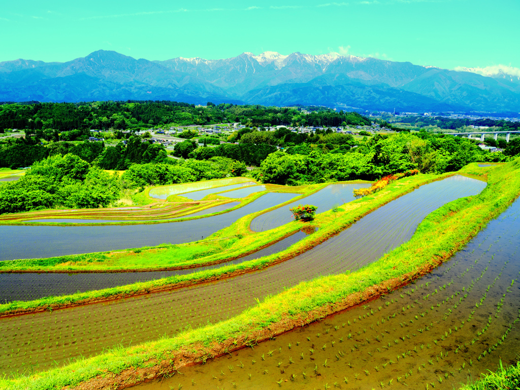 飯沼の棚田（中川村）