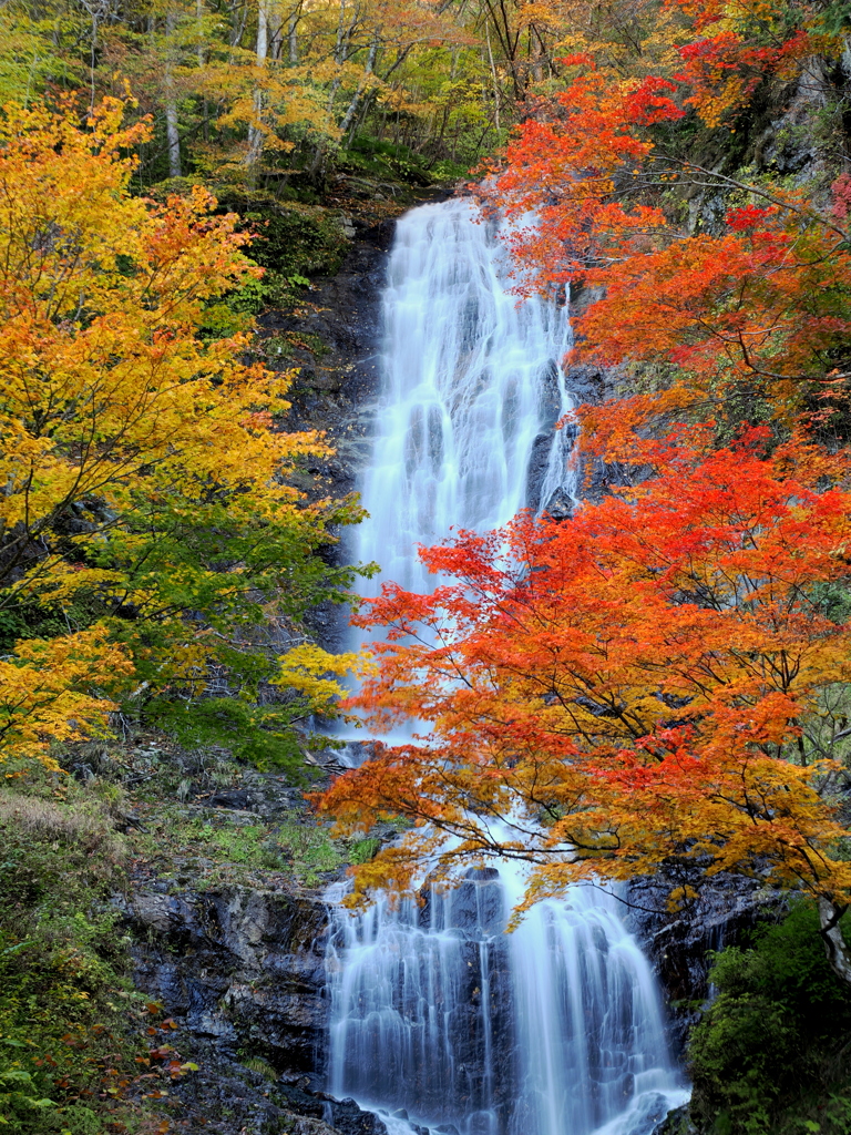 開田高原（唐沢の滝）③