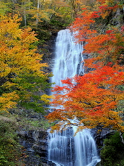 開田高原（唐沢の滝）③