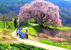 おさんぽ日和（蔵出し）