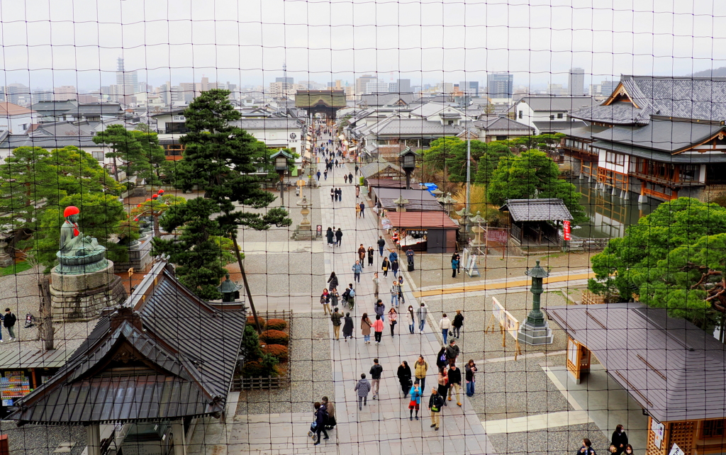 牛に引かれて善光寺参り３