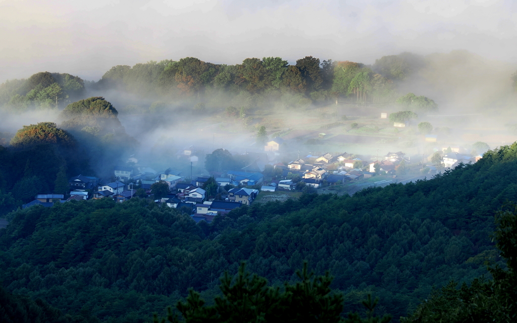 川霧の朝③