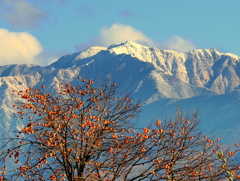 冠雪の仙丈ケ岳と残り柿