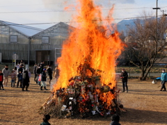 どんど焼き①