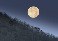 また来年会いましょう！