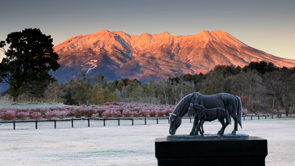 木曽馬の里の朝