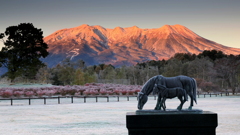 木曽馬の里の朝