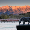 木曽馬の里の朝