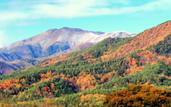 初冠雪の黒沢山