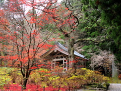 晩秋の光前寺鐘撞堂①