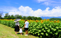 信州にも夏到来