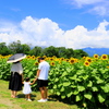 信州にも夏到来