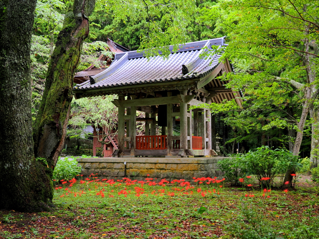 光前寺釣鐘堂の秋