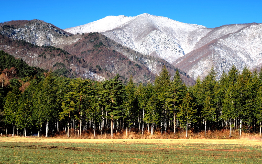 雪化粧の黒沢山