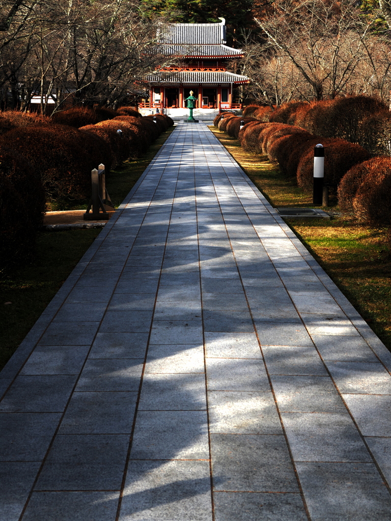 蓼科山聖光寺参道