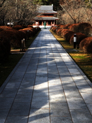 蓼科山聖光寺参道